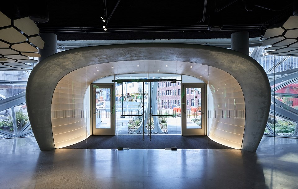 亚马逊总部球体艺术中心的Understory展厅，西雅图