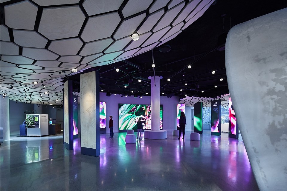 亚马逊总部球体艺术中心的Understory展厅，西雅图