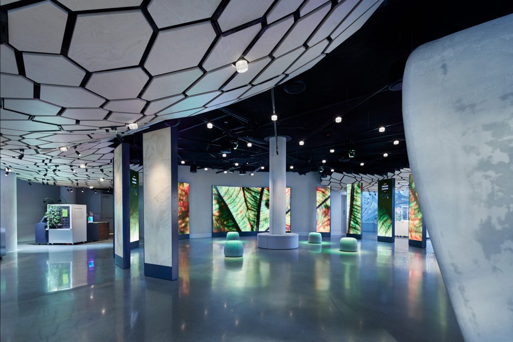亚马逊总部球体艺术中心的Understory展厅，西雅图