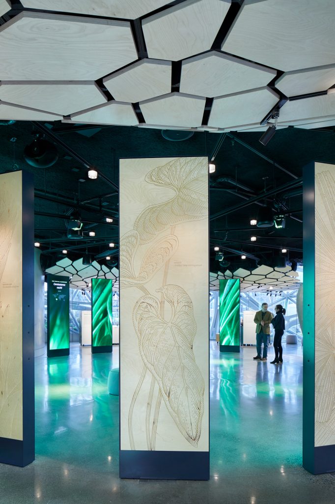 亚马逊总部球体艺术中心的Understory展厅，西雅图