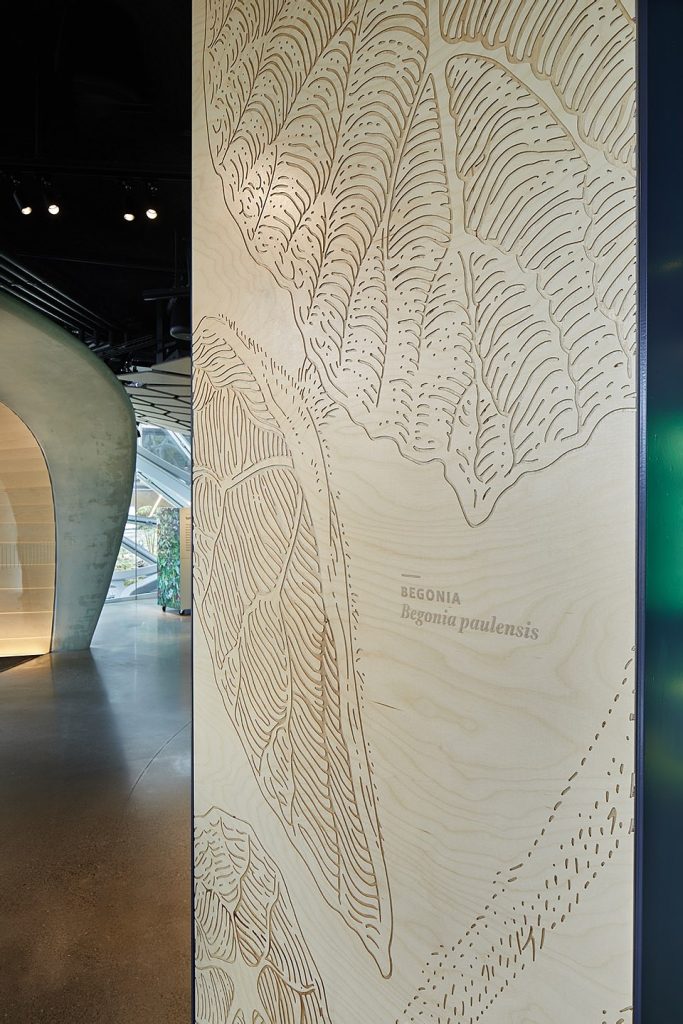 亚马逊总部球体艺术中心的Understory展厅，西雅图
