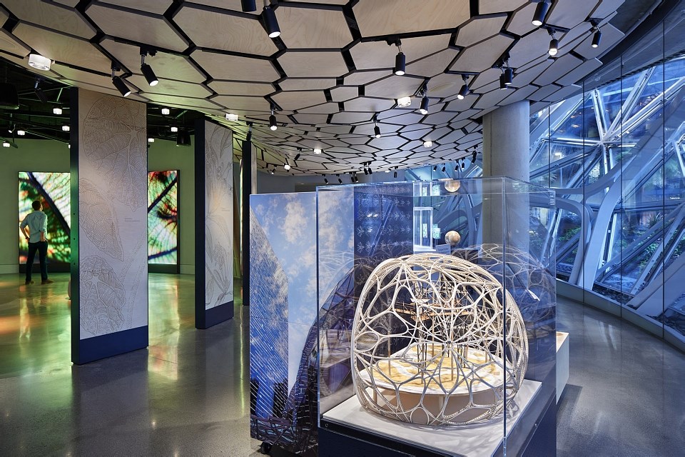 亚马逊总部球体艺术中心的Understory展厅，西雅图