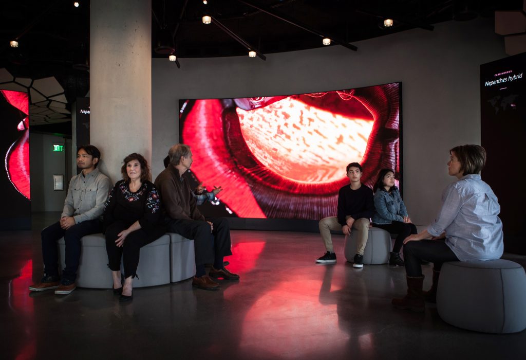 亚马逊总部球体艺术中心的Understory展厅，西雅图