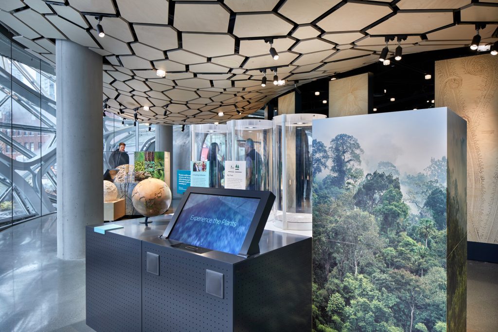 亚马逊总部球体艺术中心的Understory展厅，西雅图